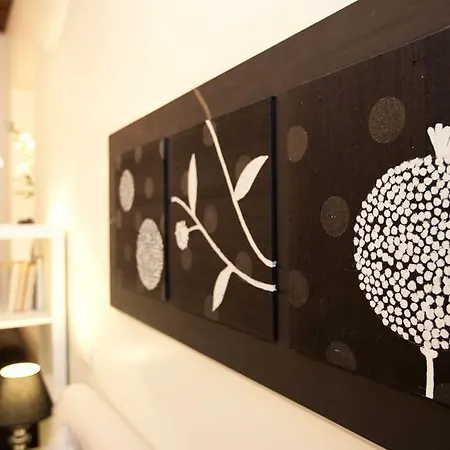 Apartamento Campo Open Space